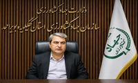 جهش دو برابری خرید گندم در کهگیلویه و بویراحمد